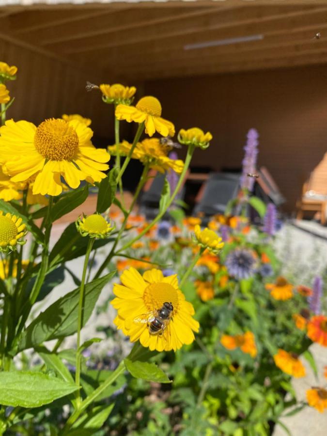 Ferienwohnung Zollhaus St. Vith Eksteriør bilde